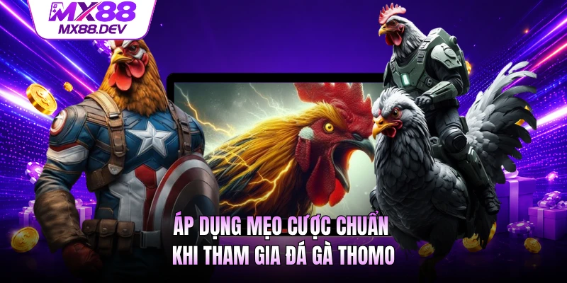 Áp dụng mẹo cược chuẩn khi tham gia đá gà Thomo