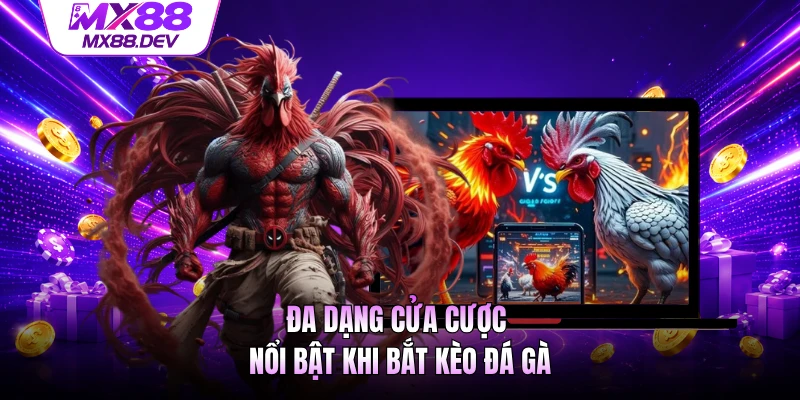 Đa dạng cửa cược nổi bật khi bắt kèo đá gà