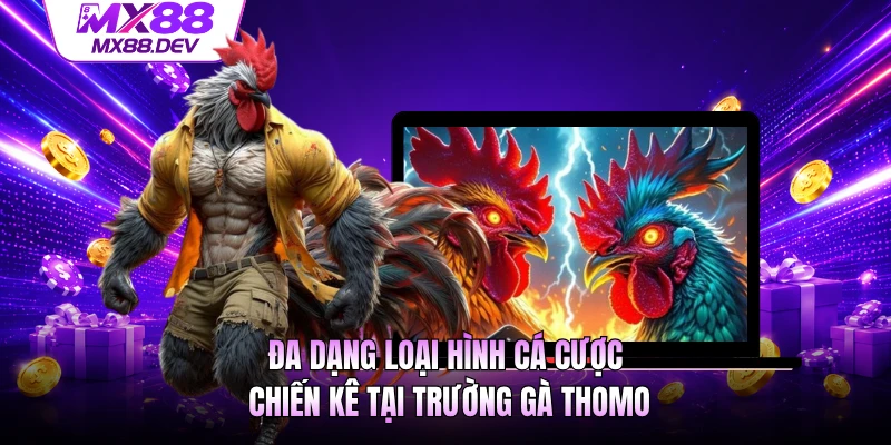 Đa dạng loại hình cá cược chiến kê tại trường gà Thomo