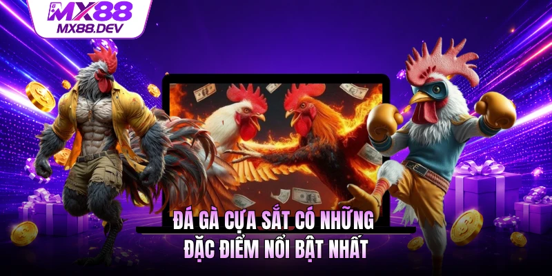 Đá gà cựa sắt có những đặc điểm nổi bật nhất