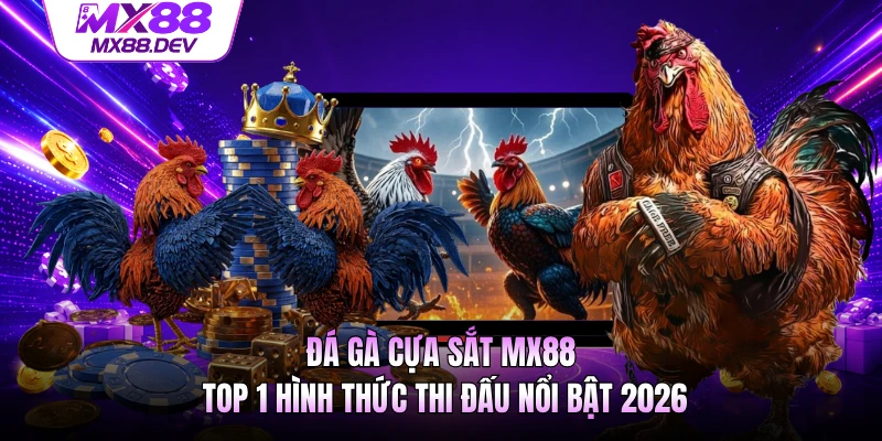 Đá Gà Cựa Sắt MX88 - Top 1 Hình Thức Thi Đấu Nổi Bật 2026