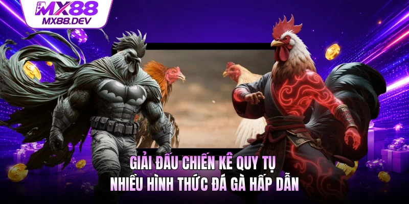 Giải đấu chiến kê quy tụ nhiều hình thức đá gà hấp dẫn