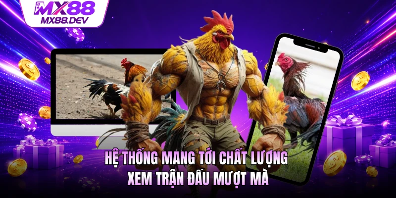 Hệ thống mang tới chất lượng xem trận đấu mượt mà