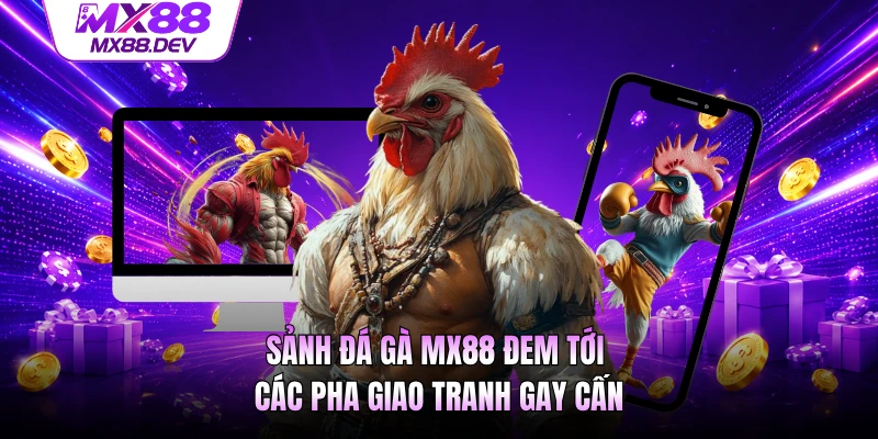 Sảnh đá gà MX88 đem tới các pha giao tranh gay cấn